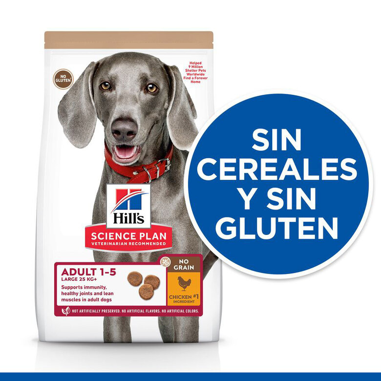 Hill’s Science Plan Adult Large Pollo pienso para perros, , large image number null